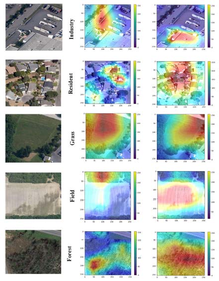 Figure 2: Results of Convolutional Neural Network Segmentation and Classification