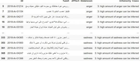 Fig. 3: An example of generated images