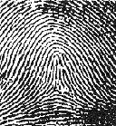 Figure 6 : Structural view of a typical multi-modal biometric