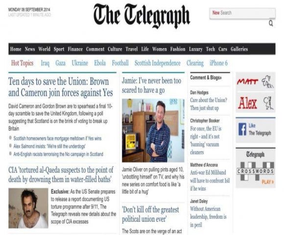 Figure 1 : Particular Website with ads