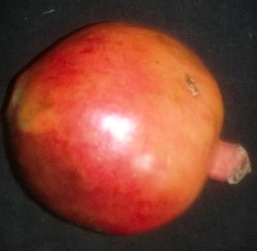 Figure 1 : Different direction of gray level co-occurrence matrix