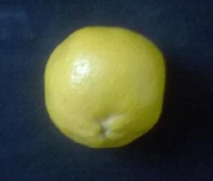 Figure 5 : Flow diagram for the methodology Represented by P(x,y)=0. Step for color features extraction calculation are given in Algorithm 2.( )