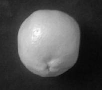 (900) and Diagonal: Bottom left to top right (-450) Top left to bottom right (-1350) Denoted as P0, P45, P90, & P135 respectively as shown in fig 1. . First step is to extract texture features are given in Algorithm3. Global Journal of Computer Science and Technology Volume XIV Issue V Version I Texture feature extraction Input: RGB image Output: 22 texture feature StartStep1: convert a RGB image into gray scale image.