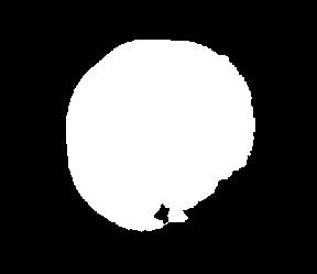 b) Training And Testing In training time, neural network is trained to identify the type of fruit image. All the data generated during the training time are stored in the data base of Neural network. When a new image is encountered during testing time, features are extracted from the new image which is compared with data stored in neural network and it classifies the fruit in suitable class based on bases of their knowledge gained during training time. Training and Testing model of neural network is shown in Fig.6. This model consists of input layer, hidden layer and output layer. In the input layer (38) color and texture features are calculated. Hidden layer (10) consist of neurons which generate output. Output layer (5) represents the five different fruits that are classified.