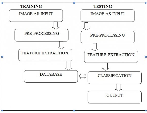 Figure 6 : Training and Testing Model IV.