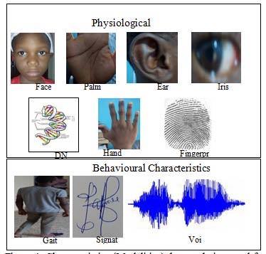 Figure 2 : Bidirectional Flow