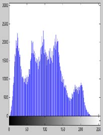 Figure 5: (a) watermarked image (b)exrated watermark image b) Attack Scenario i. Gaussian Noise Attack