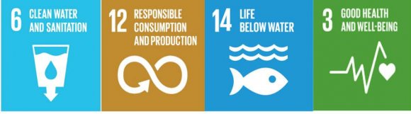 Figure 2: Sustainable Development Goals this paper touches on By collecting post-consumer PET bottles for recycling, we ensure a clean environment, marine life as well as good health from a clean environment. It also ensures that there is responsible production and consumption of PET bottles produced and end-of-life. The principle of Extended Producer Responsibility guides manufacturers to ensure responsible production. III.